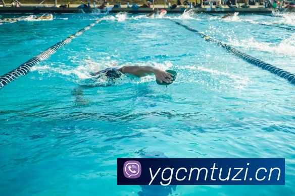 九游网页版平台生态图